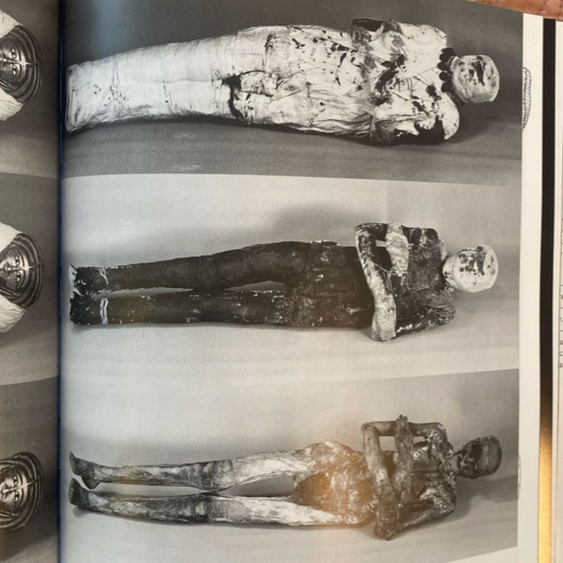 The Mummy in Ancient Egypt