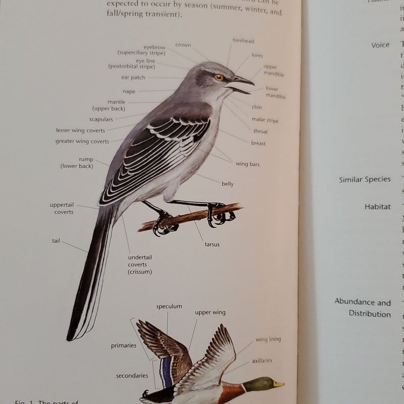 Birds of the Mid-Atlantic Region