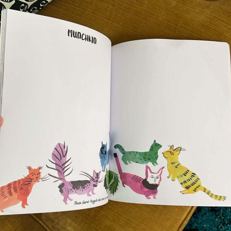 Color a Cat