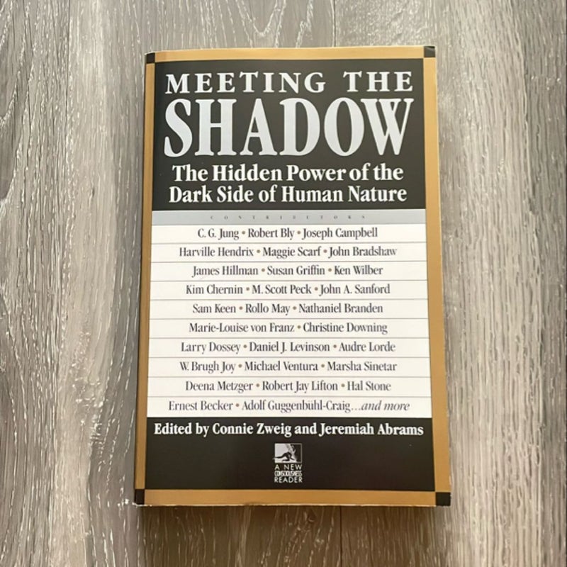 Meeting the Shadow