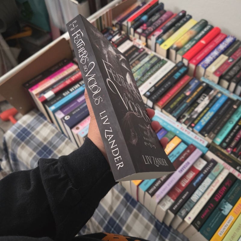 Feathers So Vicious: a Dark Fantasy Romance