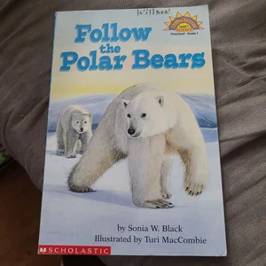 Follow the Polar Bears