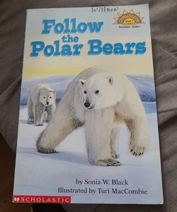 Follow the Polar Bears