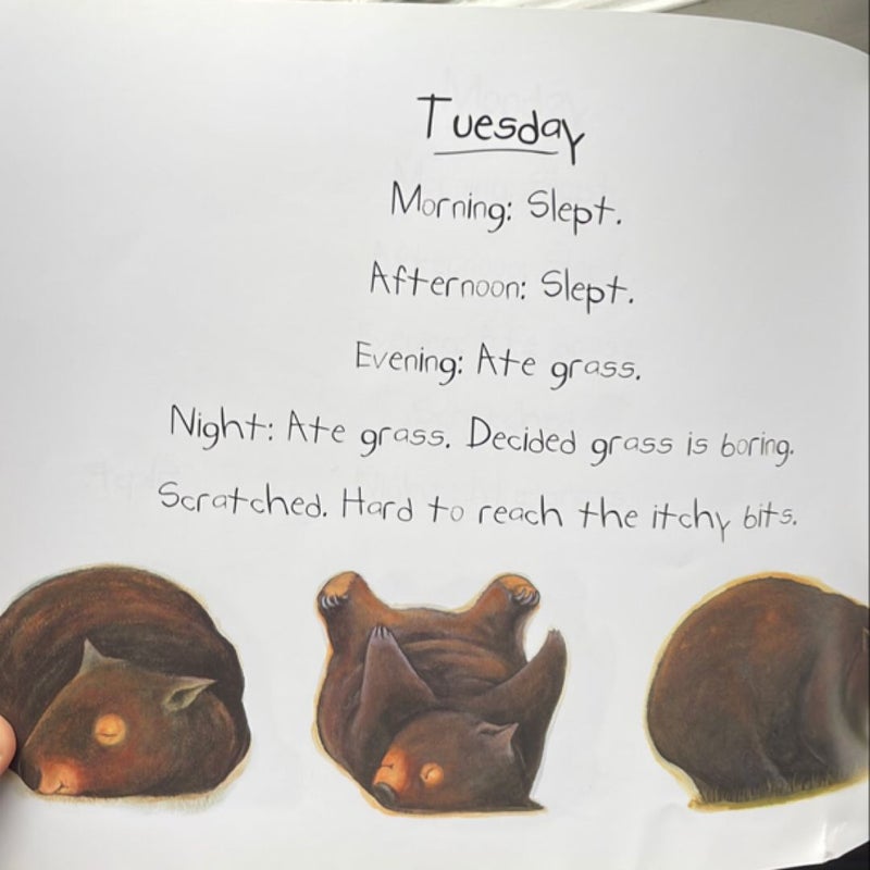 Diary of a Wombat