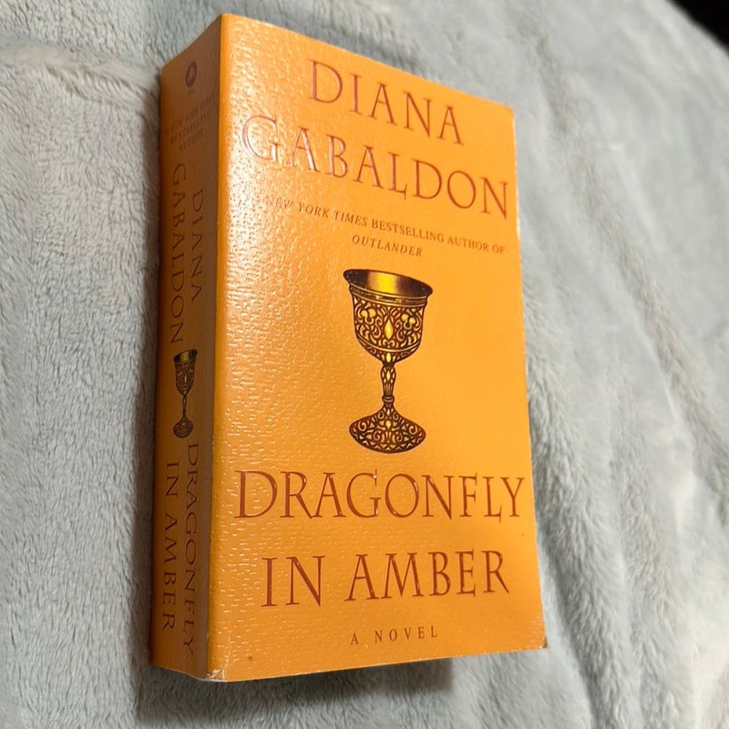 Dragonfly in Amber