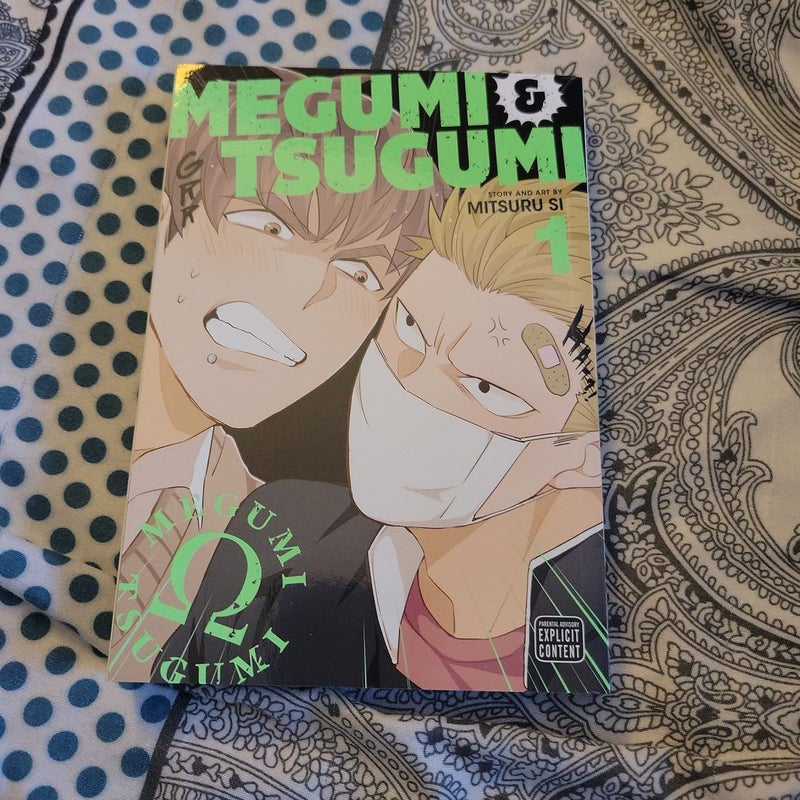 Megumi and Tsugumi, Vol. 1