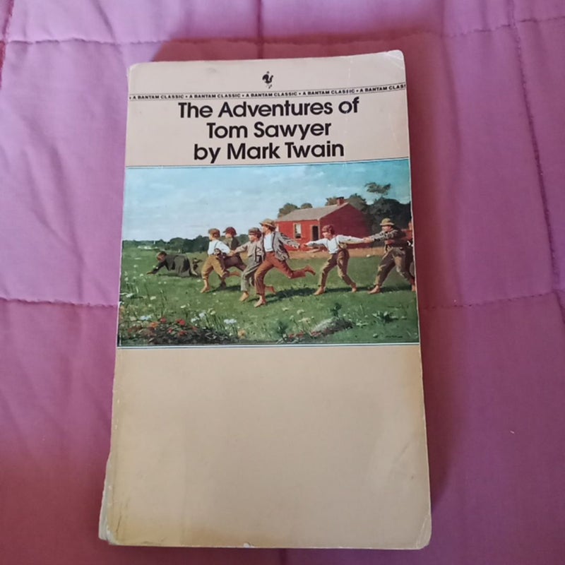 The adventures of Tom Sawyer 