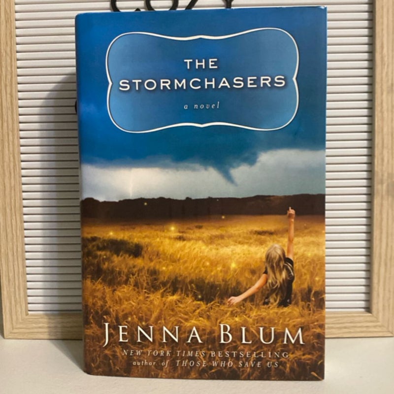 The Stormchasers