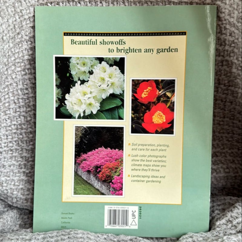 Azaleas, Rhododendrons and Camellias