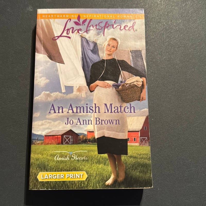 An Amish Match