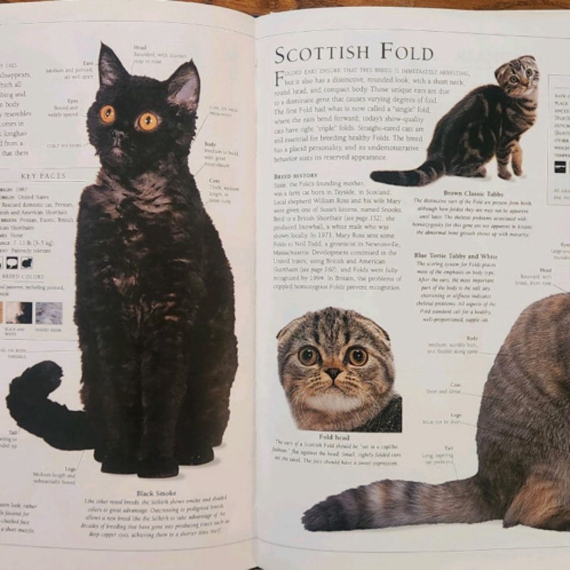 The Encyclopedia of the Cat