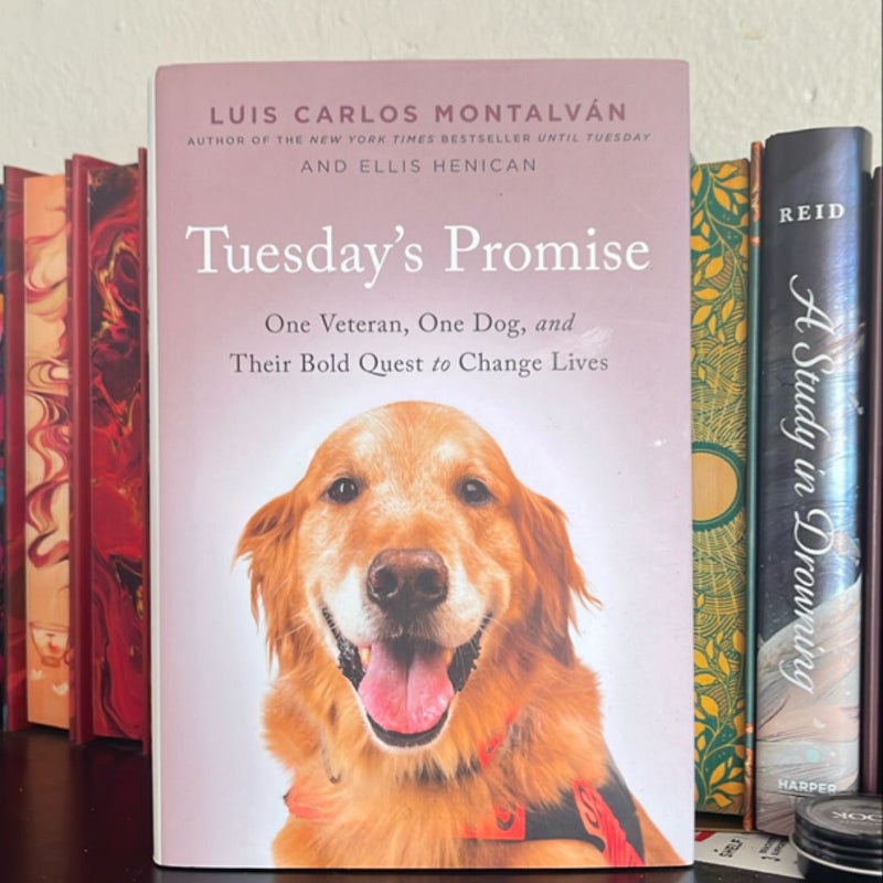 Tuesday's Promise