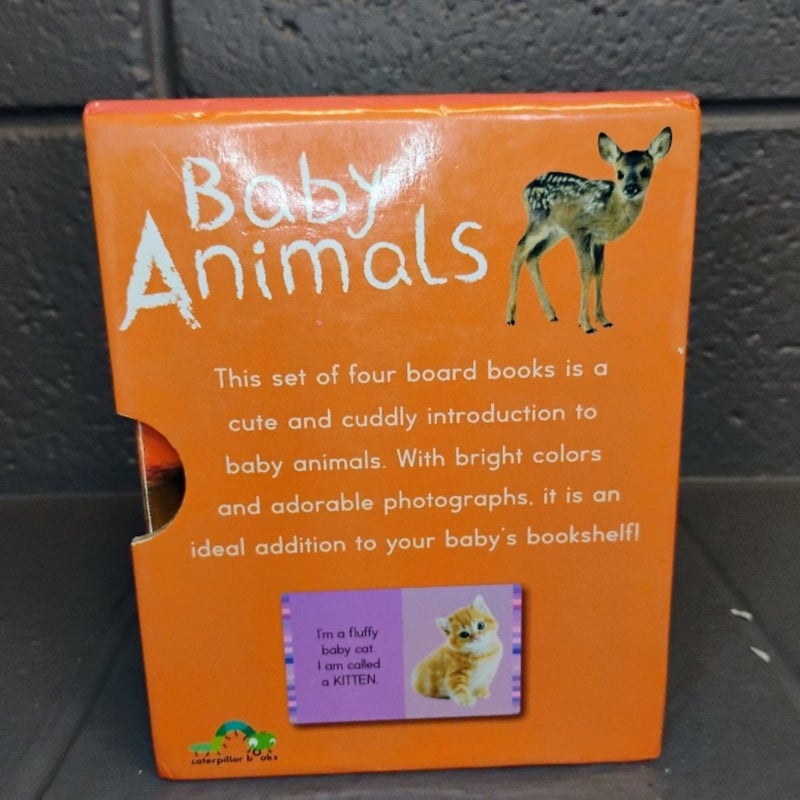 My Mini Library Baby Animals