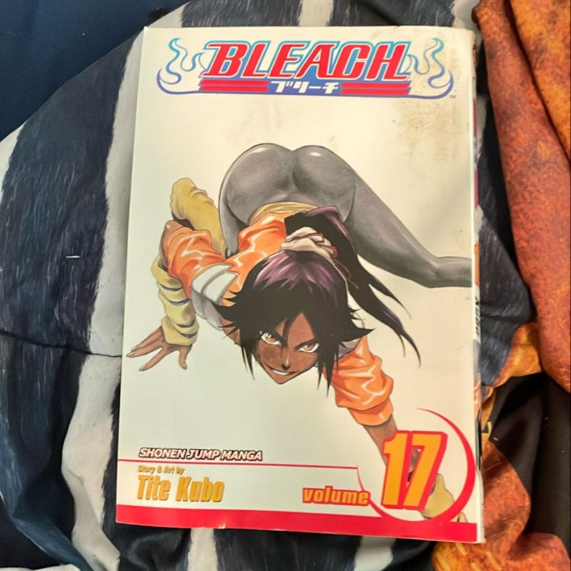 Bleach, Vol. 17