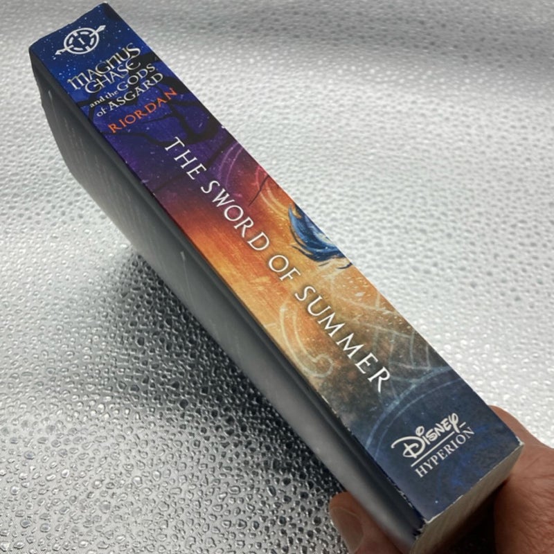 Magnus Chase and the Gods of Asgard Book 1 the Sword of Summer (Magnus Chase and the Gods of Asgard Book 1)
