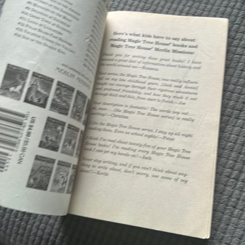 Magic Tree House #29: A Merlin Mission: Christmas in Camelot 