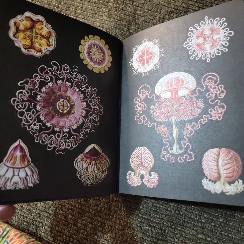 The Antiquarian Sticker Book