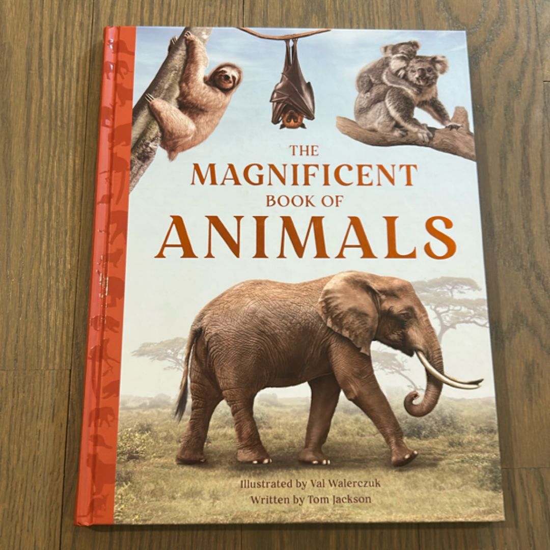 The Magnificent Book of Animals
