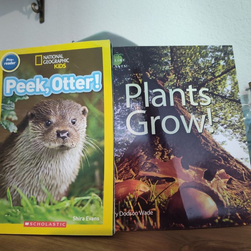 Book Bundle