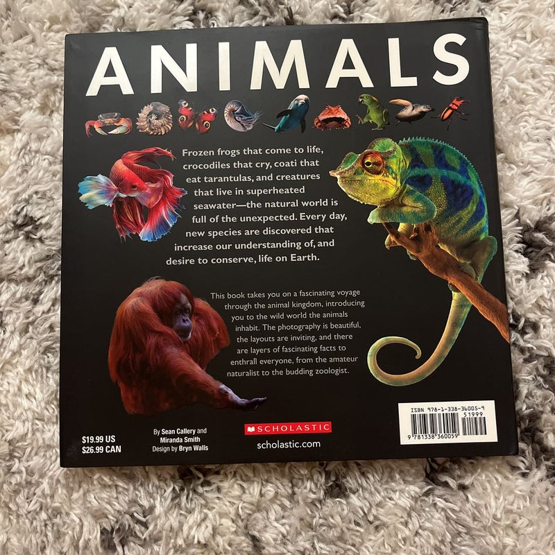 Animals