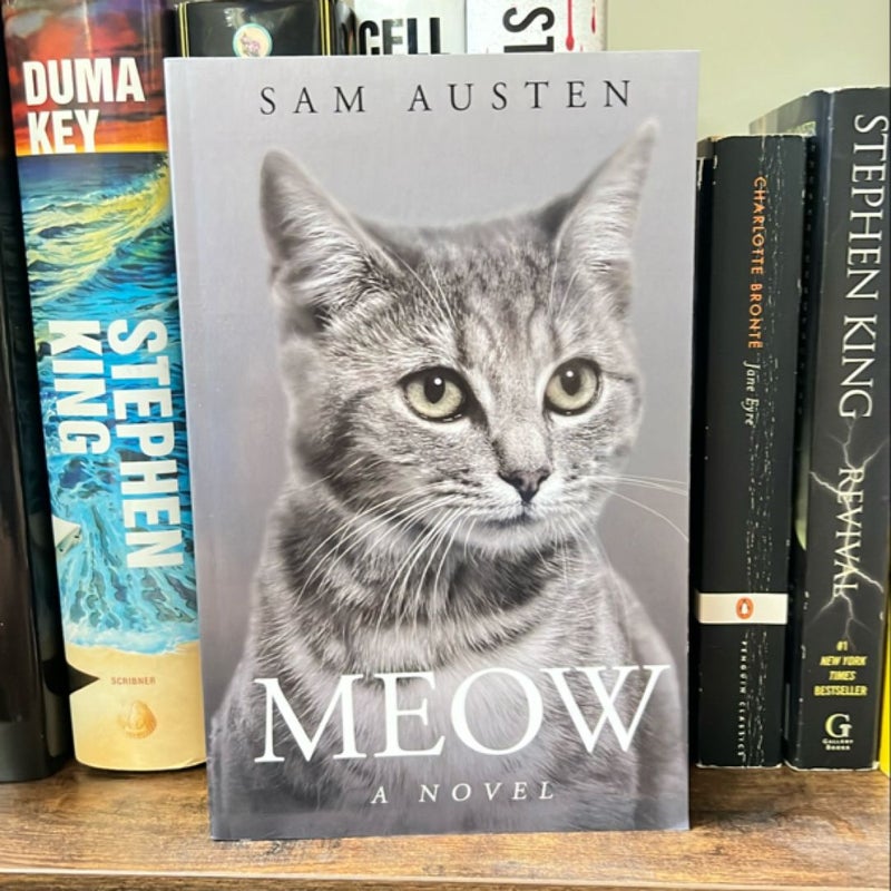 Meow