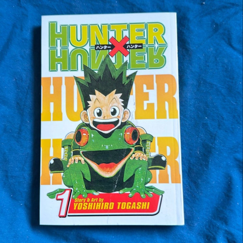 Hunter X Hunter, Vol. 1