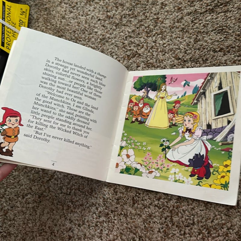 The wonderful wizard of oz