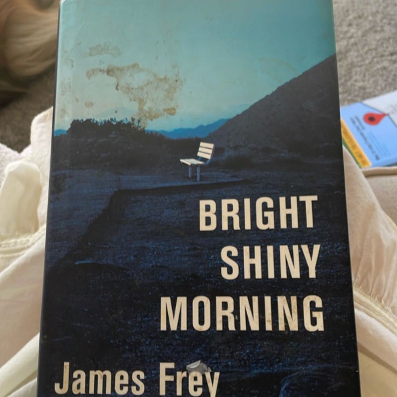 Bright Shiny Morning