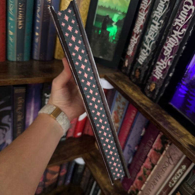 A Kingdom of Stars and Shadows Bookish Box SE *Wounded*