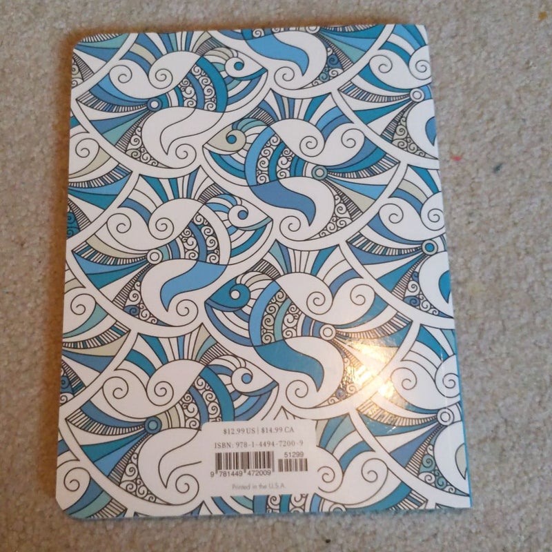 Posh Adult Coloring Book Soothing Designs for Fun and Relaxation by