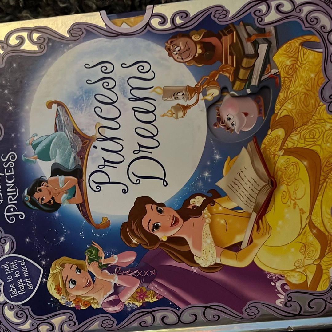 Look and Find: Disney Princess: Winter Dreams