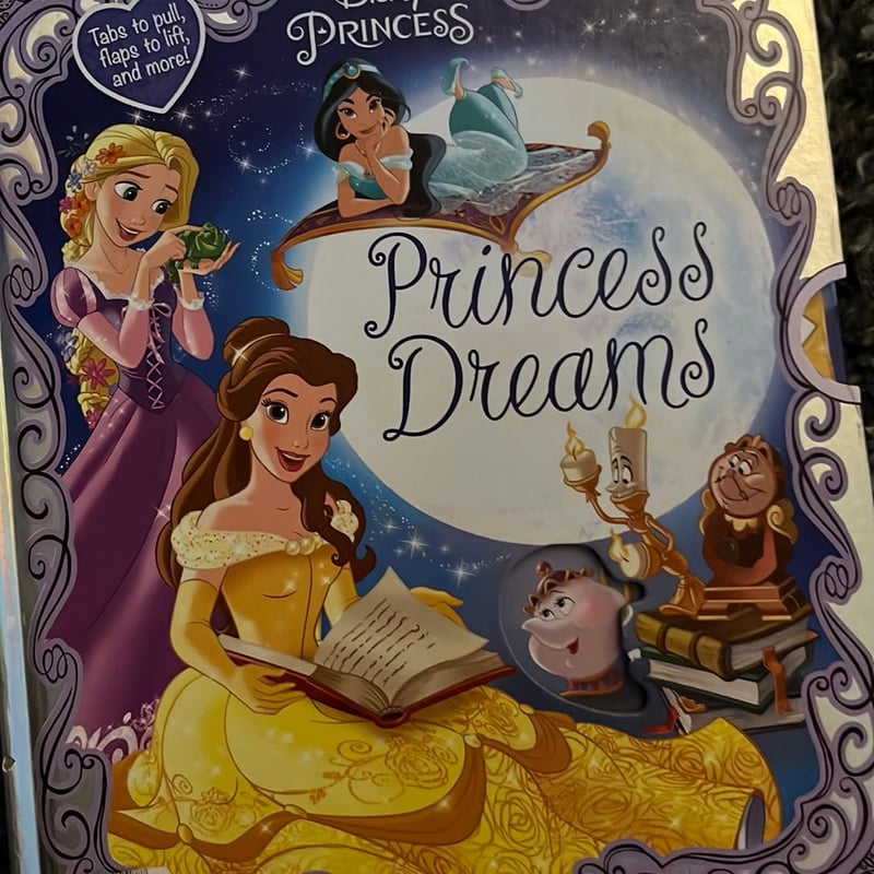 Look and Find: Disney Princess: Winter Dreams