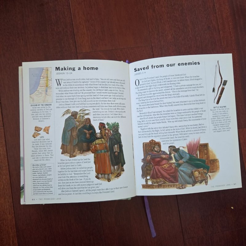 Illustrated Family Bible Stories