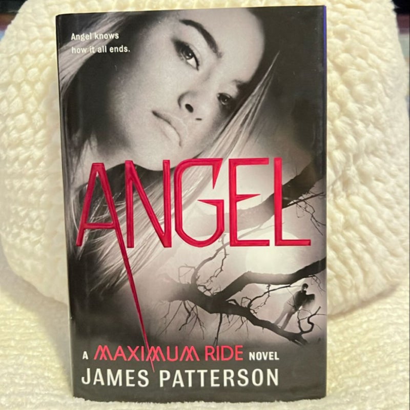 Maximum Ride Series, Vol 1-7