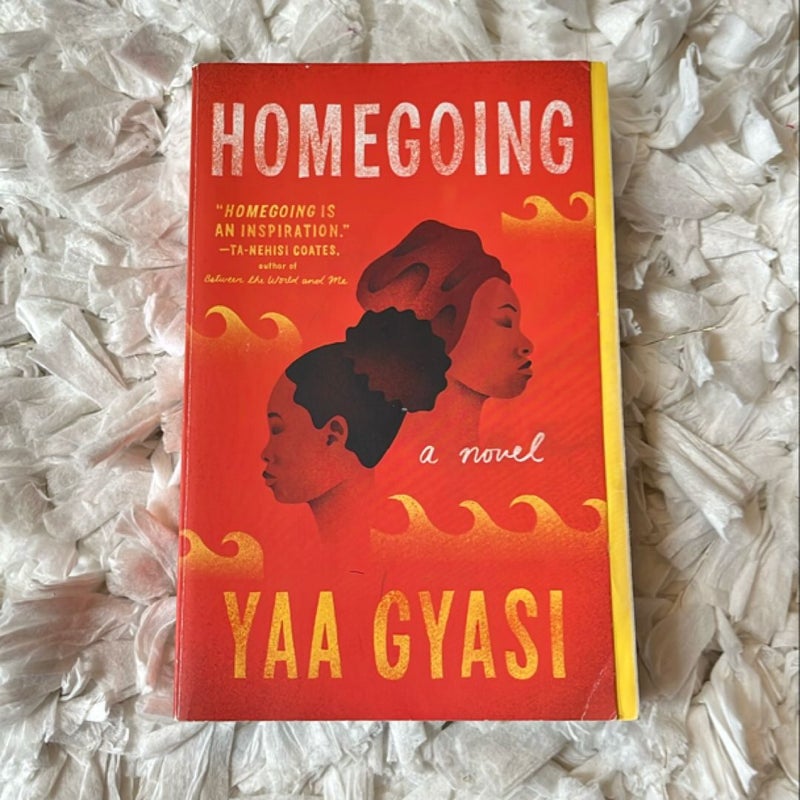 Homegoing