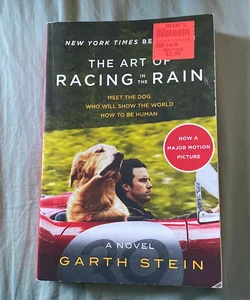 The Art of Racing in the Rain 