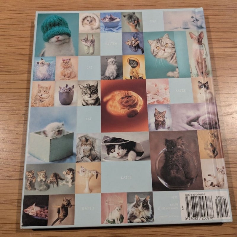 My Cat Record Book