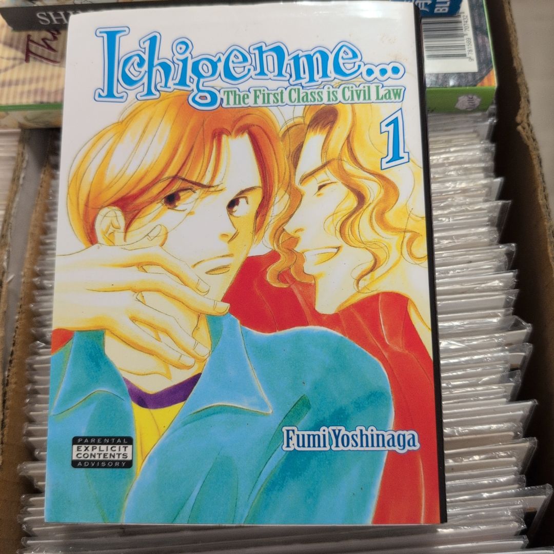 Ichigenme... the First Class Is Civil Law