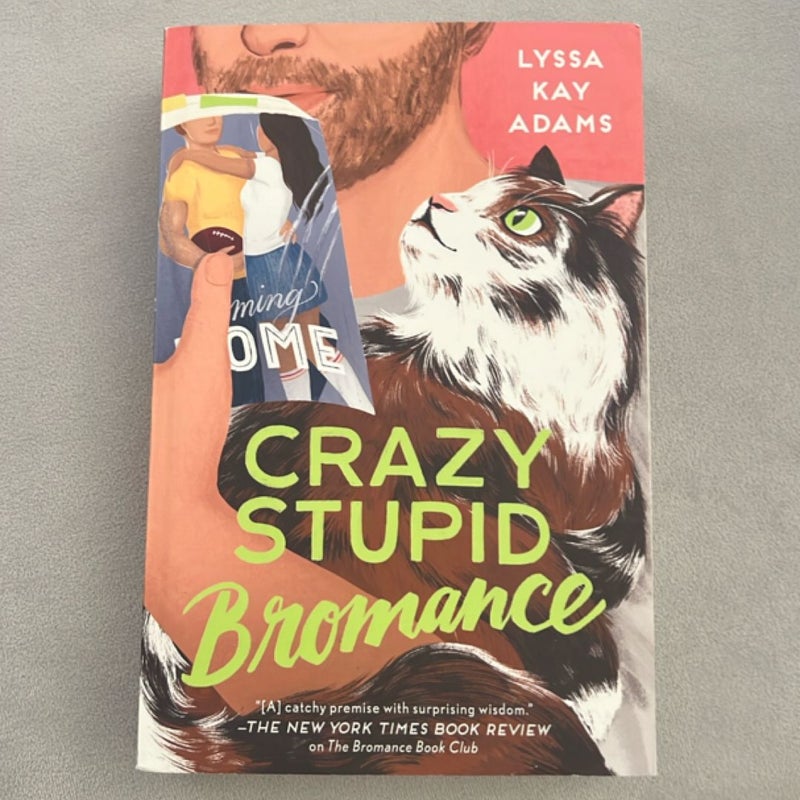 Crazy Stupid Bromance