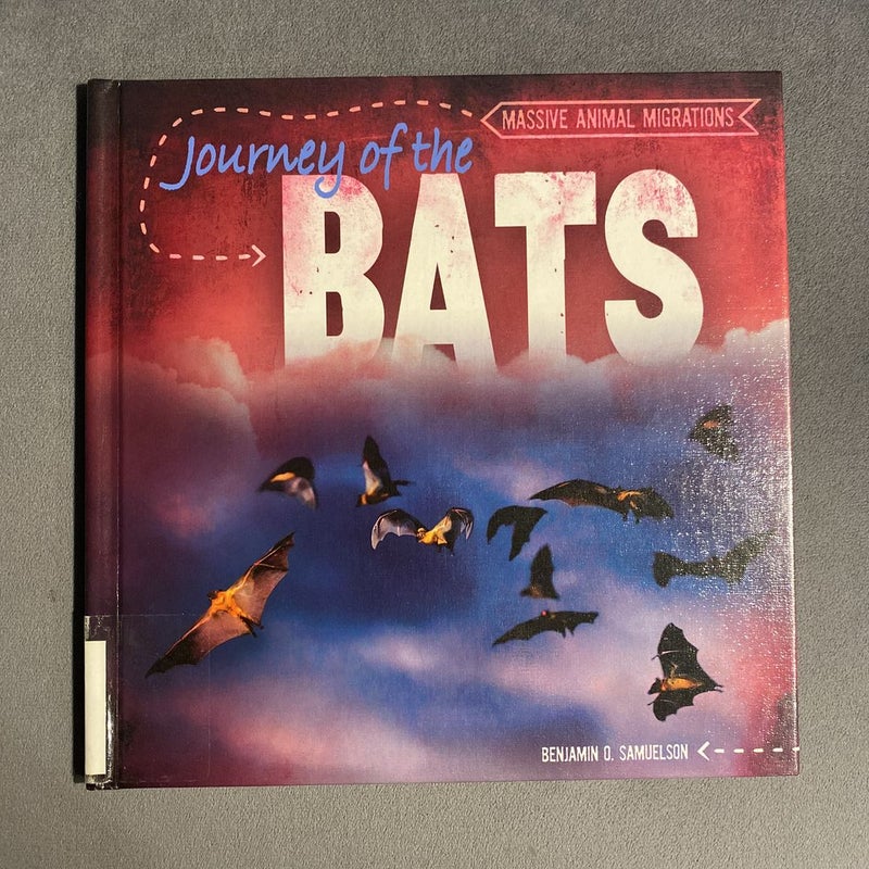 Journey of the Bats