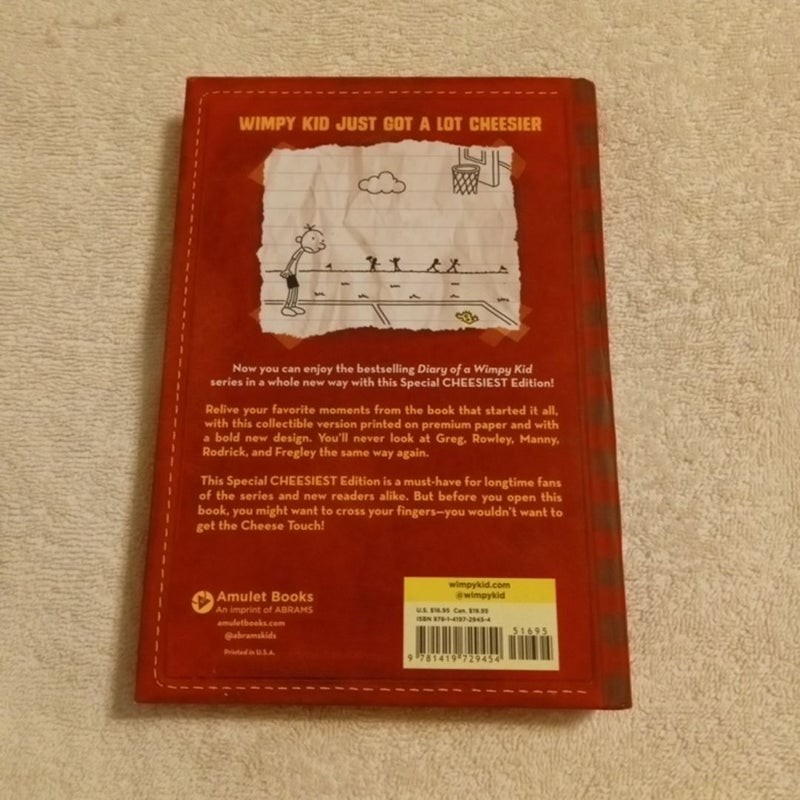 Diary Of A Wimpy kid 
