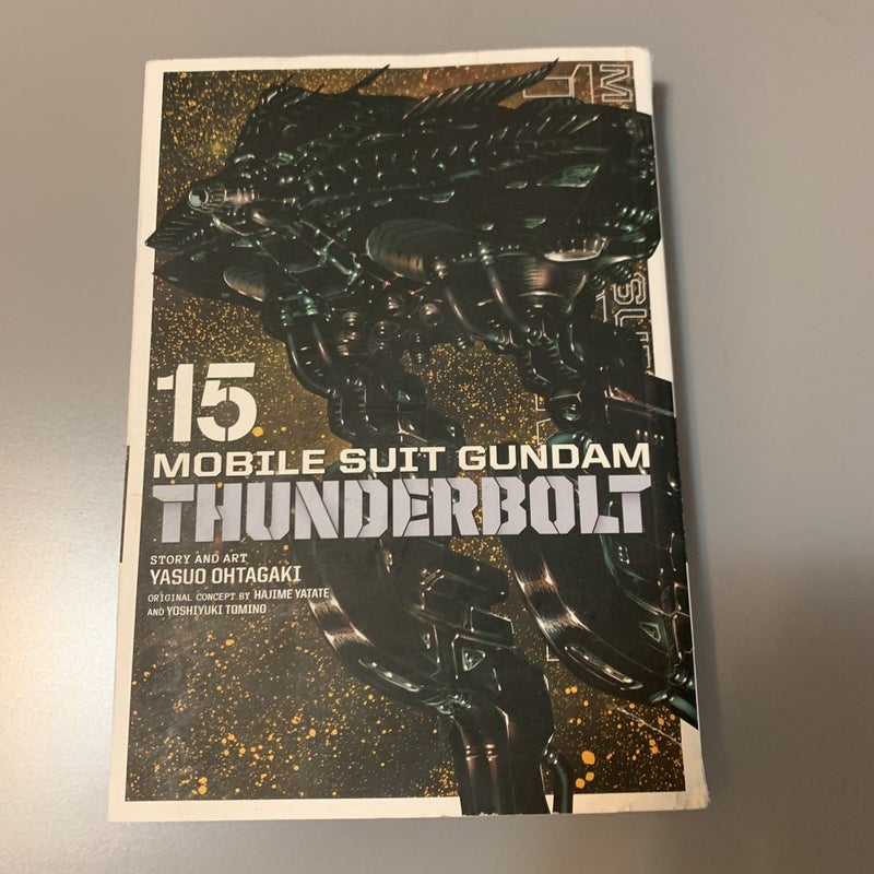 Mobile Suit Gundam Thunderbolt, Vol. 15