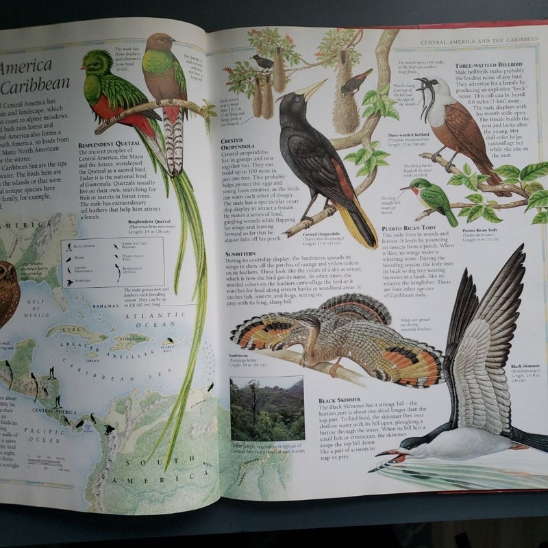 The Bird Atlas