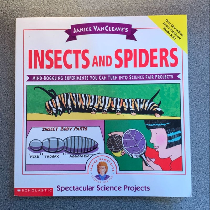 Insects and Spiders