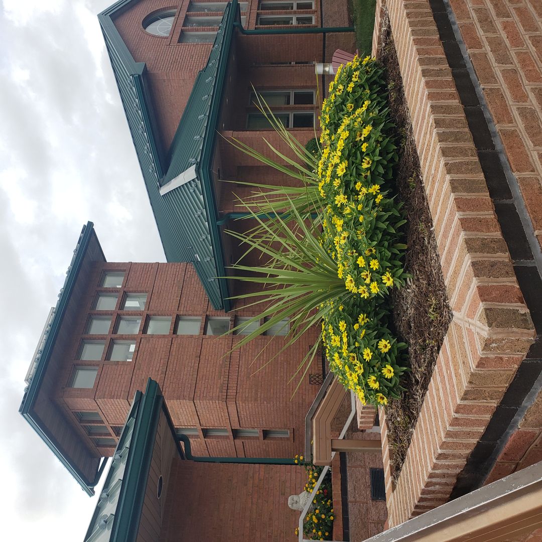 Milanof-Schock Library