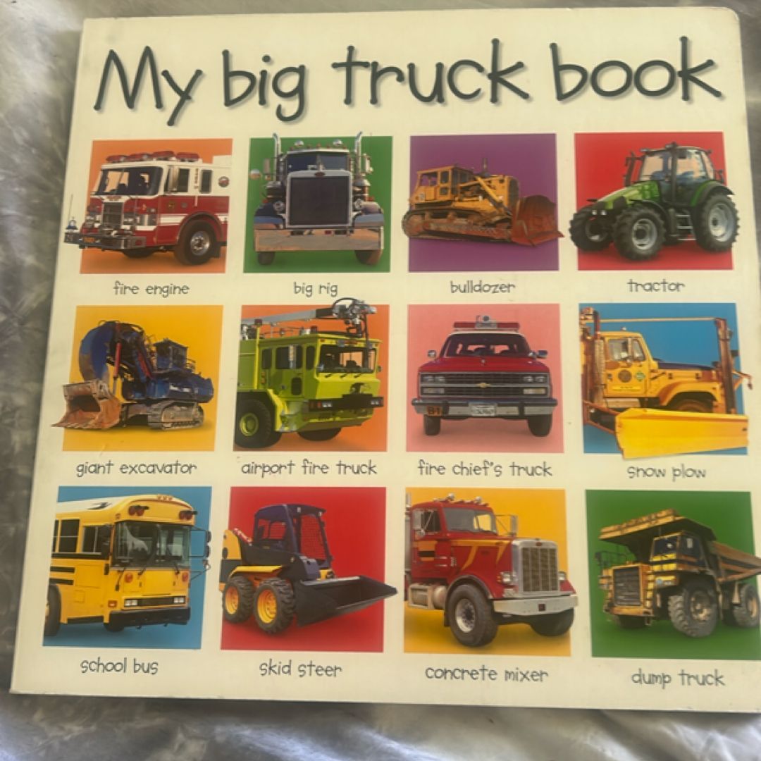 My Big Truck Book