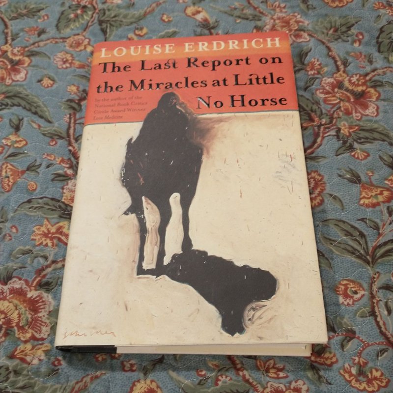 The Last Report on the Miracles at Little No Horse