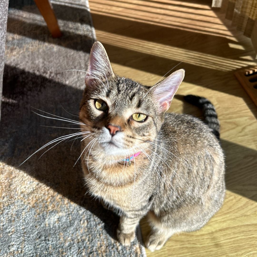 sophie!