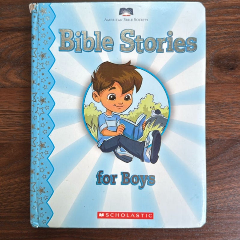 Bible Stories for Boys