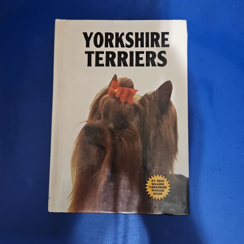 Yorkshire Terriers